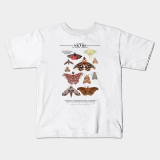 Moths of North America Kids T-Shirt